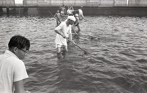 0906 1面 龍城ケ丘プール_3